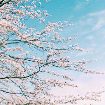 金沙集团9500官网app下载